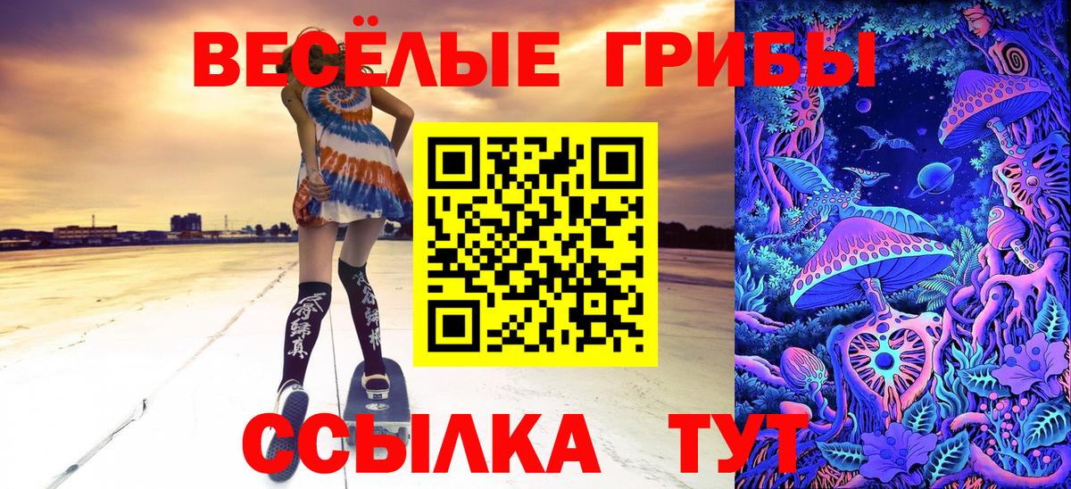 Псилоцибиновые грибы ЛСД Чебоксары
