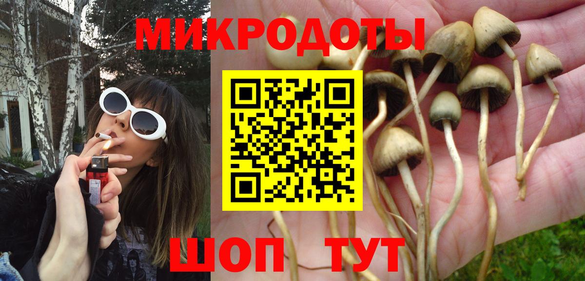 Галлюциногенные грибы GOLDEN TEACHER  Галлюциногенные грибы прущие грибы  Чебоксары  Вход с VPN 